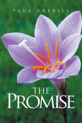 Book Promise Paul Krebill