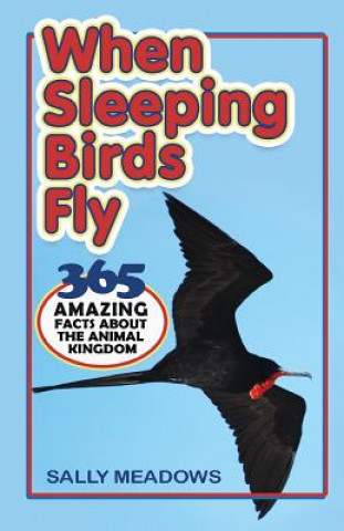 Kniha When Sleeping Birds Fly Sally Meadows