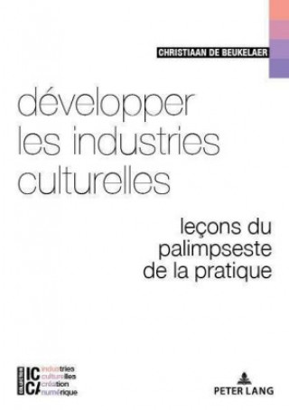 Kniha Developper Les Industries Culturelles Christiaan De Beukelaer