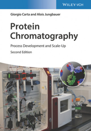 Buch Protein Chromatography - Process Development and Scale-Up 2e Giorgio Carta