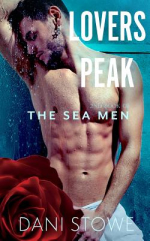 Kniha Lovers Peak Dani Stowe