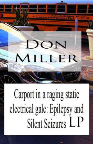 Book Carport in a Raging Static Electrical Gale: Epilepsy and Silent Seizures LP Don Miller