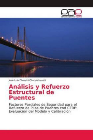 Carte Analisis y Refuerzo Estructural de Puentes José Luis Chambi Chuquichambi