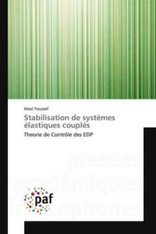 Kniha Stabilisation de systemes elastiques couples Wael Youssef