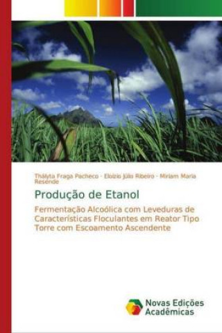 Książka Producao de Etanol Thályta Fraga Pacheco