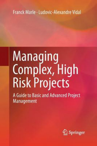 Книга Managing Complex, High Risk Projects Franck Marle
