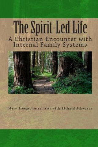 Kniha The Spirit-Led Life: Christianity and the Internal Family System Richard C Schwartz Ph D