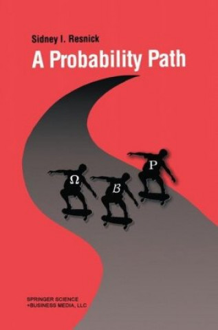 Knjiga Probability Path Sidney Resnick