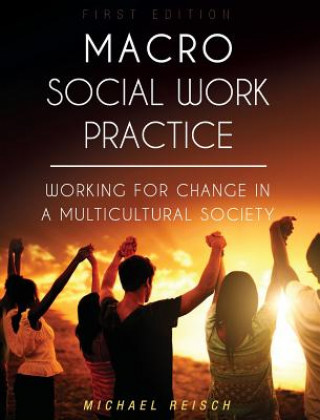 Knjiga Macro Social Work Practice Michael Reisch