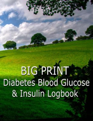 Könyv Big Print Diabetes Blood Sugar and Insulin Log Writing Journal