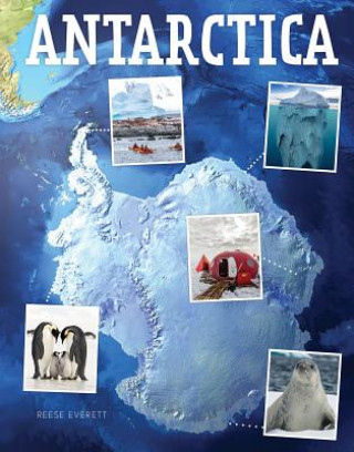 Книга Antarctica Reese Everett