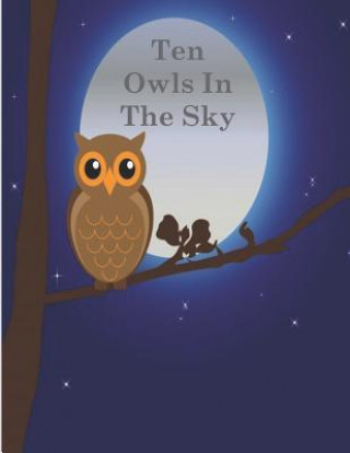Kniha Ten Owls In The Sky Debbie Smiga