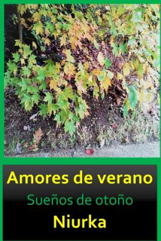 Kniha Amores de Verano: Sue L