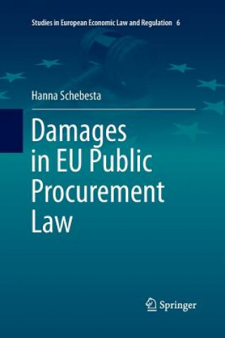 Könyv Damages in EU Public Procurement Law Hanna Schebesta
