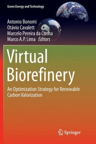 Boek Virtual Biorefinery Antonio Bonomi