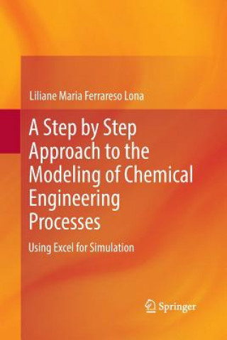 Könyv Step by Step Approach to the Modeling of Chemical Engineering Processes Liliane Maria Ferrareso Lona