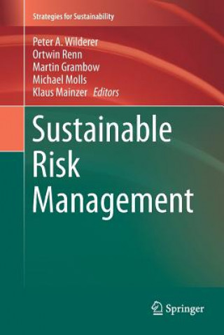 Kniha Sustainable Risk Management Martin Grambow