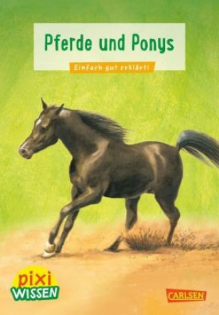 Könyv Pixi Wissen 1: Pferde und Ponys Hanna Sörensen