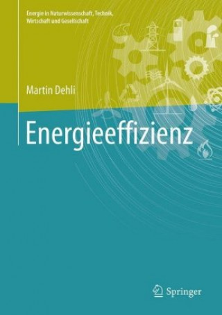 Könyv Energieeffizienz in Industrie, Dienstleistung und Gewerbe Martin Dehli