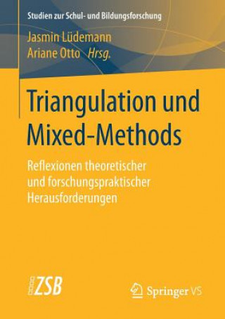 Книга Triangulation Und Mixed-Methods Jasmin Lüdemann