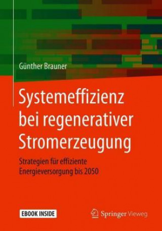 Kniha Systemeffizienz bei regenerativer Stromerzeugung, m. 1 Buch, m. 1 E-Book Günther Brauner