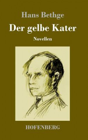 Libro gelbe Kater Hans Bethge