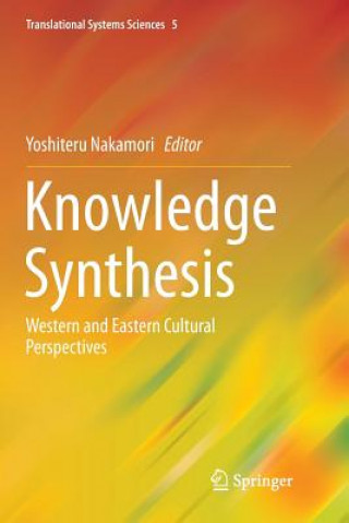 Kniha Knowledge Synthesis Yoshiteru Nakamori