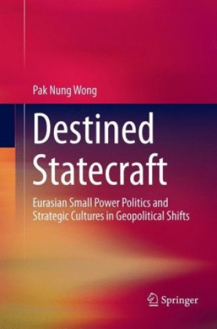Kniha Destined Statecraft Pak Nung Wong
