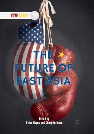 Buch Future of East Asia Peter Hayes