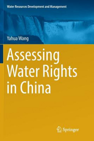 Könyv Assessing Water Rights in China Yahua Wang