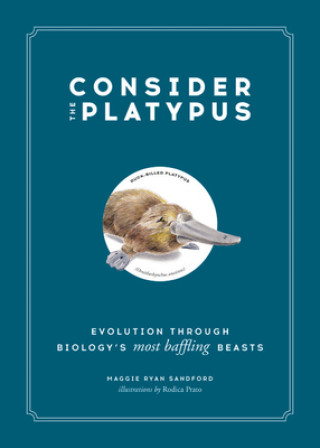 Book Consider the Platypus Maggie Ryan Sandford
