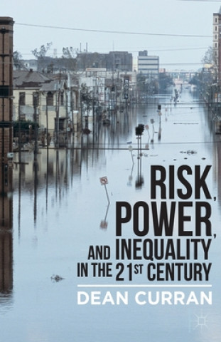 Książka Risk, Power, and Inequality in the 21st Century D. Curran