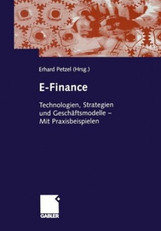 Knjiga E-Finance Erhard Petzel