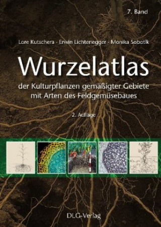 Könyv Wurzelatlas der Kulturpflanzen gemäßigter Gebiete mit Arten des Feldgemüsebaues Lore Kutschera