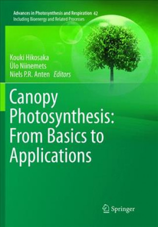 Könyv Canopy Photosynthesis: From Basics to Applications Kouki Hikosaka