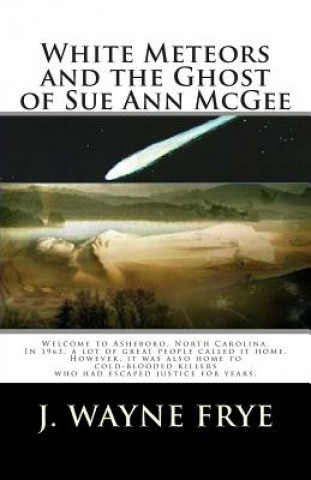 Könyv White Meteors and the Ghost of Sue Ann McGee J Wayne Frye