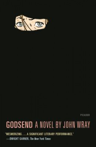 Libro Godsend John Wray