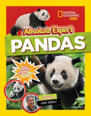 Kniha Absolute Expert: Pandas Ruth Strother