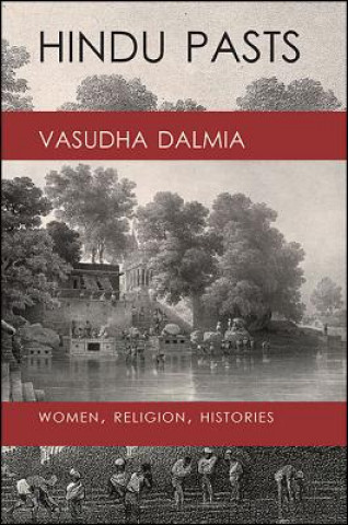 Kniha Hindu Pasts Vasudha Dalmia