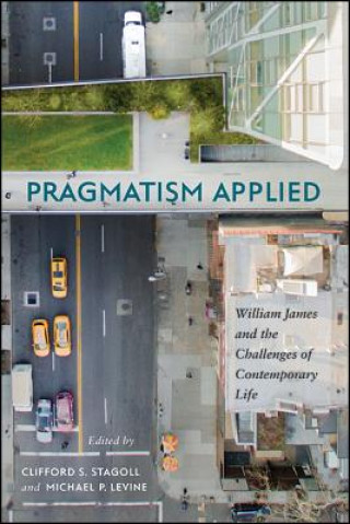 Könyv Pragmatism Applied: William James and the Challenges of Contemporary Life Clifford S. Stagoll