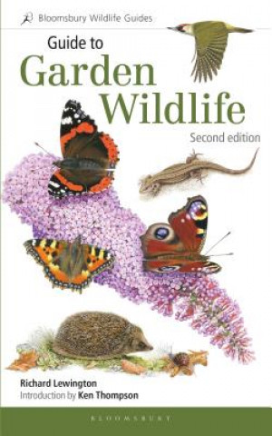 Kniha Guide to Garden Wildlife (2nd edition) Richard Lewington