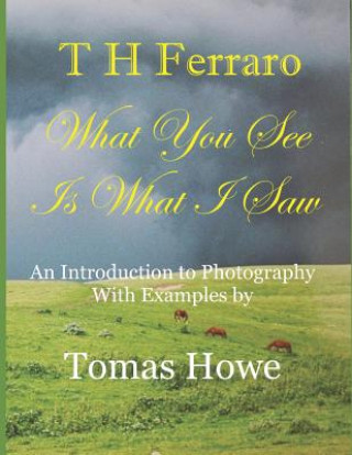 Livre What You See Is What I Saw: An Intro to Photography Tomas Howe