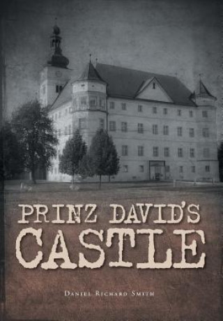 Buch Prinz David's Castle DANIEL RICHAR SMITH