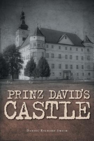 Kniha Prinz David's Castle Daniel Richard Smith