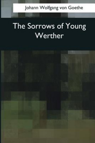 Książka The Sorrows of Young Werther Johann Wolfgang Von Goethe