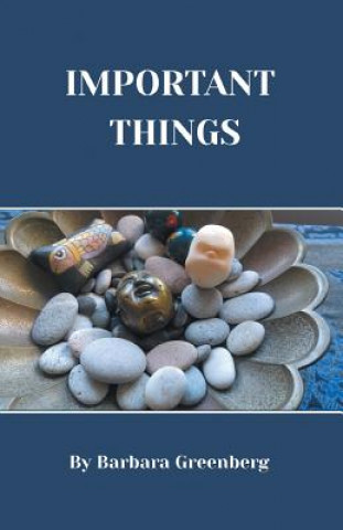 Knjiga Important Things Barbara Levenson Greenberg