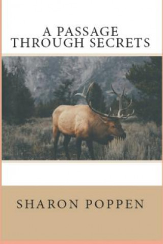 Book A Passage Through Secrets Sharon Poppen