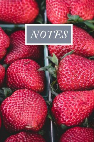 Knjiga Notes Erin L Terpstra