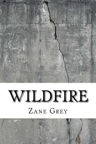 Kniha Wildfire Zane Grey