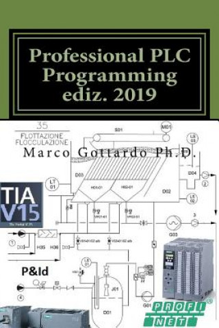 Kniha Professional PLC Programming ediz. 2019 Dott Marco Gottardo Phd